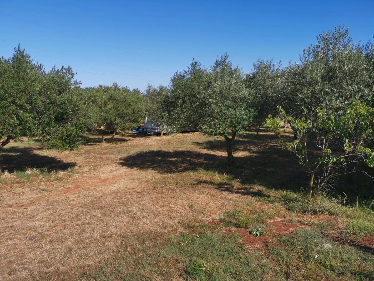 Jacuzi Cottage In The Olive Grove PUY Eksteriør bilde
