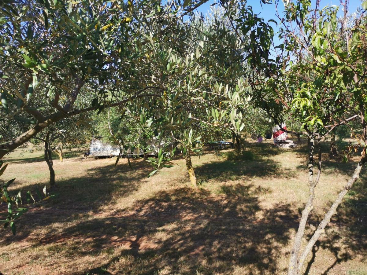 Jacuzi Cottage In The Olive Grove PUY Eksteriør bilde