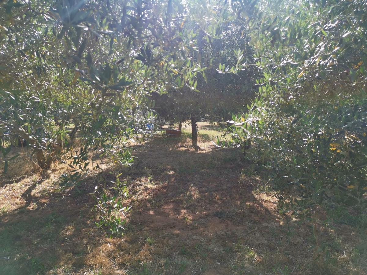 Jacuzi Cottage In The Olive Grove PUY Eksteriør bilde