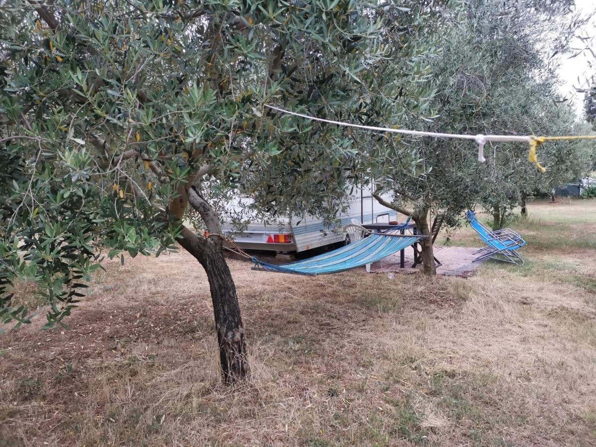 Jacuzi Cottage In The Olive Grove PUY Eksteriør bilde