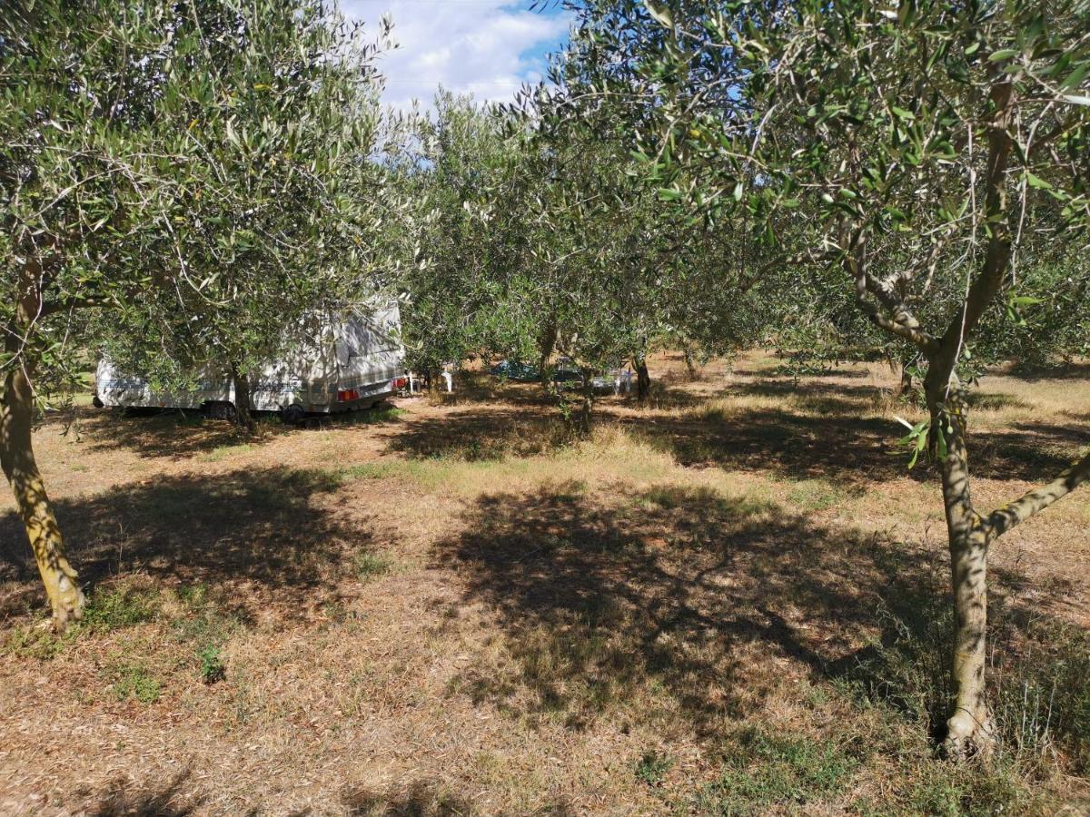 Jacuzi Cottage In The Olive Grove PUY Eksteriør bilde