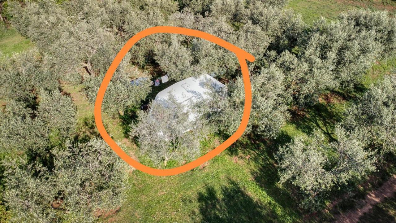 Jacuzi Cottage In The Olive Grove PUY Eksteriør bilde