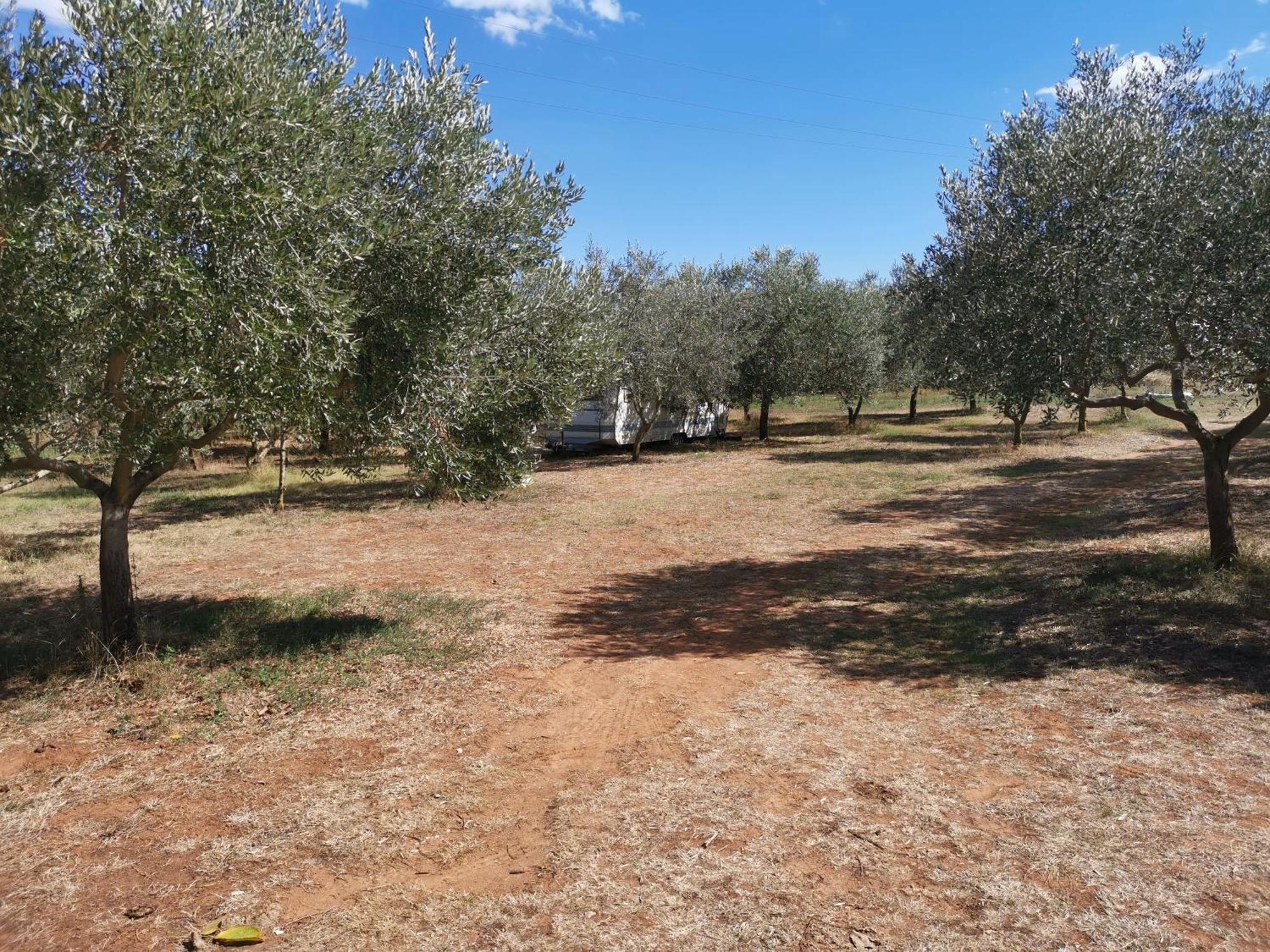 Jacuzi Cottage In The Olive Grove PUY Rom bilde